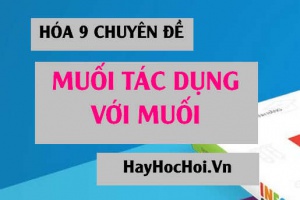 Bài tập Muối tác dụng với Muối và phương pháp giải - Hóa 9 chuyên đề